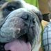 Profile Picture of Robert A. Redman (@robert.a.redman.1) on Facebook