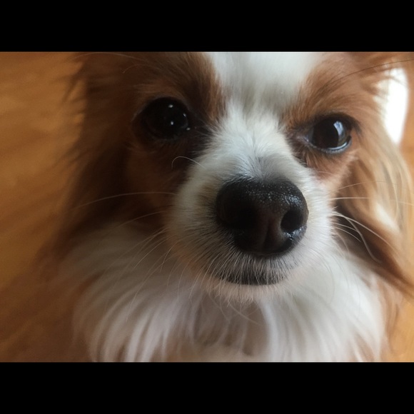 Profile Picture of Mirembe Mwassa (@myreum) on Poshmark