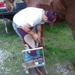 Profile Picture of Scott Delaney (@delaneyfarrier) on Instagram