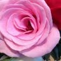 Profile Picture of Rosa Kim (@rosa-kim-7) on Quora