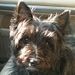 Profile Picture of Paul Sapenaro (@paulsapenaro) on Pinterest