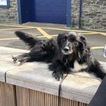 Profile Picture of David Dawson (@fernie_mcfernface_) on Instagram