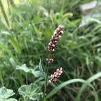 Profile Picture of Carl Yvette (@Carl-Yvette) on Facebook