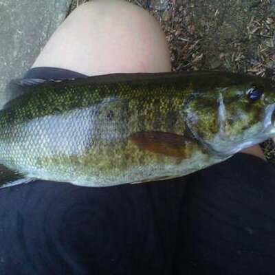 Profile Picture of Kim Pollock (@Kim3473) on Twitter