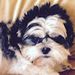 Profile Picture of Nidhi Lal (@nidhilal333) on Pinterest