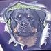 Profile Picture of Robert Stangl (@robert.stangl.3) on Facebook