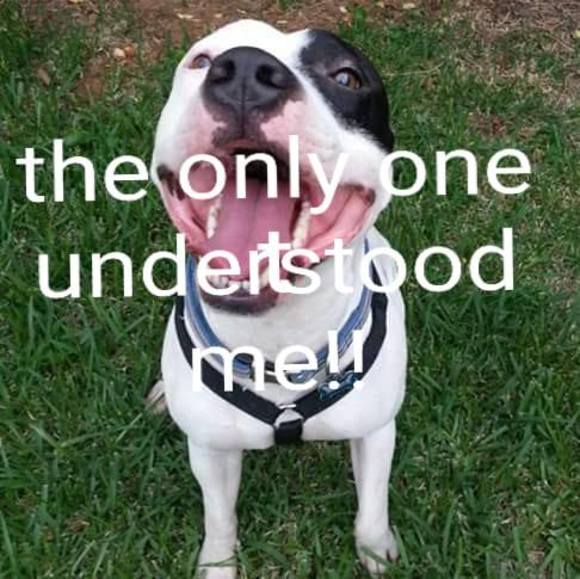 Profile Picture of Richard Salinas (@richiedolla_03) on Poshmark