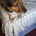 Profile Picture of Margaret Norris (@margaret.norris.906638) on Facebook