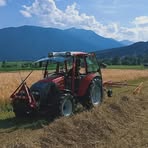 Profile Picture of Daniel Auderer (@Daniel-Auderer) on Facebook