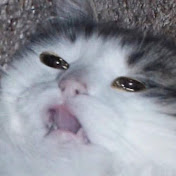 Profile Picture of Joshua Deanda (@joshuadeanda7146) on Youtube