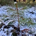 Profile Picture of Robert Jeffers (@jeffersrobert) on Instagram