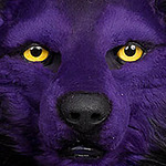 Profile Picture of Shane Nicholson (@betapaws@rogers.com) on Flickr