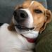 Profile Picture of Anthony Gansen (@anthony.gansen.5) on Facebook