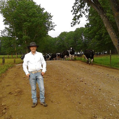 Profile Picture of Guillermo Capella (@capella_gs) on Twitter