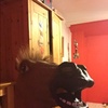Profile Picture of Wesley Roach (@@sufcwes) on Tiktok