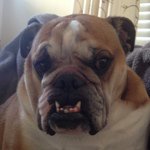 Profile Picture of Greg Laskowski (@glaslowski42484gmailcom) on Instagram