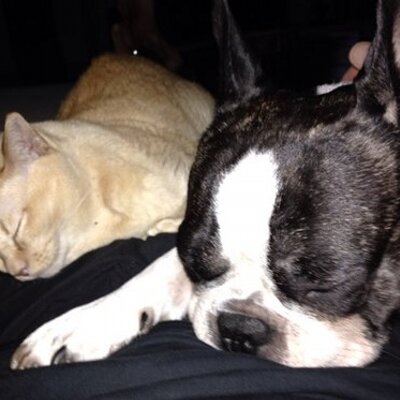 Profile Picture of Steven Rotter (@rotz5) on Twitter