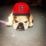 Profile Picture of Steve Struble (@stevestrubleeee) on Instagram