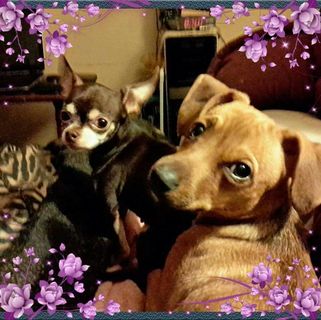 Profile Picture of Audra Wilson (@Audra-Wilson) on Facebook