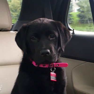 Profile Picture of Kate Bonk (@kate_bonk) on Twitter