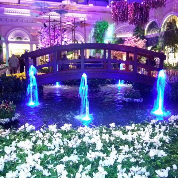 Profile Picture of Marisol Rocha (@marisolrocha) on Poshmark