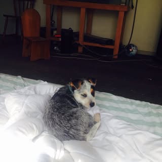 Profile Picture of Sam Hickey (@hickey_sam) on Instagram