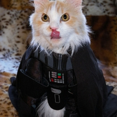 Profile Picture of Ken★adie Rob★sson★★★ (@RobossonKenadie) on Twitter