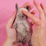 Profile Picture of Chadlee Harrelson (@chadleeharrelson) on Instagram