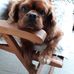 Profile Picture of Pierre Rebaudo (@pierre.rebaudo) on Facebook