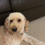 Profile Picture of David Slater (@davidslater57) on Instagram