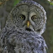 Profile Picture of Brian Crowder (@briancrowder6974) on Youtube