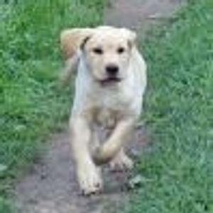 Profile Picture of Bonnie Renee (@bonnster) on Myspace