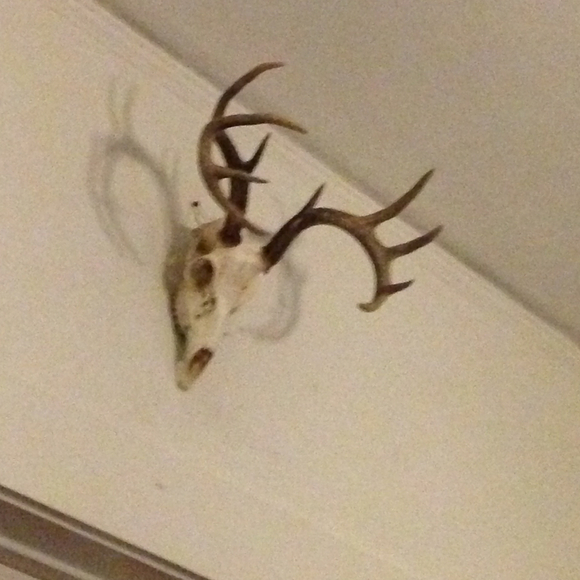 Profile Picture of Alice Wang (@aliceschiffner) on Poshmark