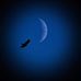 Profile Picture of Dani Brown (@dani.brown.334) on Facebook