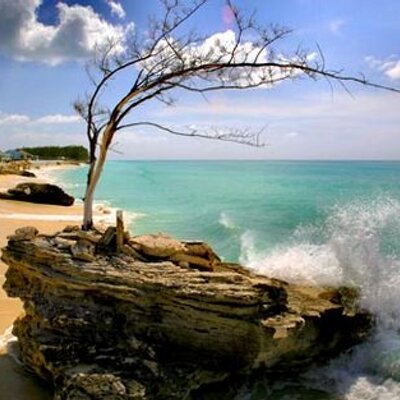 Profile Picture of Brett Gibbs (@ContourEventMGT) on Twitter