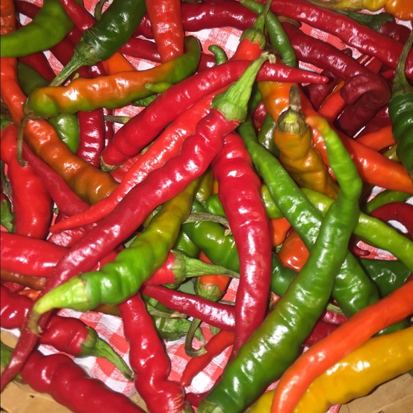 Profile Picture of Aimee Bielot (@aimeeb06) on Poshmark