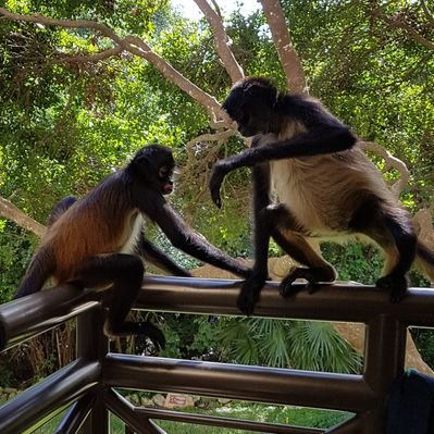 Profile Picture of Sam Burrow (@Samdidilianfa) on Twitter