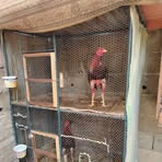 Profile Picture of Richard Patiño (@Richard-Patiño) on Facebook