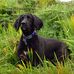 Profile Picture of Paul Quayle (@paul.quayle.92) on Facebook
