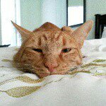 Profile Picture of Jo Dudley (@jadudley) on Instagram