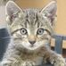 Profile Picture of Thomas Prochnow (@thomas.prochnow.5) on Facebook