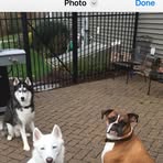 Profile Picture of Gretchen Stranch (@gretchen.stranch.2023) on Facebook