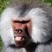 Profile Picture of Kevin 23-Dykes (@23dykekevi) on Pinterest