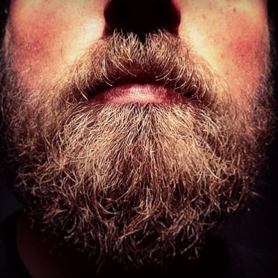 Profile Picture of Brad Frizzell (@BradFriz) on Twitter