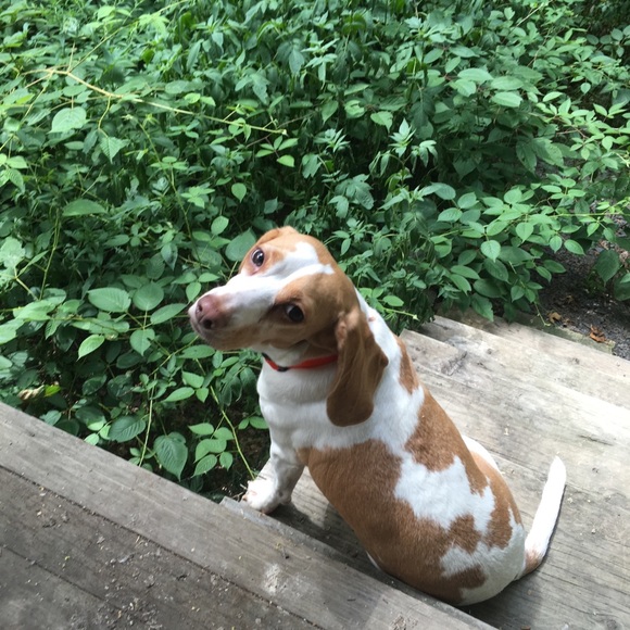 Profile Picture of Pamela Dehaven (@zivamoon) on Poshmark