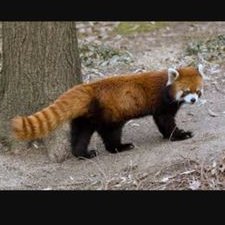 Michael Gaddis - Twitter Profile Picture of Michael Gaddis (@kingpingaddis) on Twitter