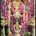 Profile Picture of Tejal Shah (@tejal.shah.5648) on Facebook