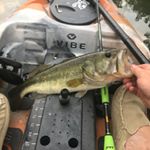 Profile Picture of Wesley Sims (@bassvibe13) on Instagram