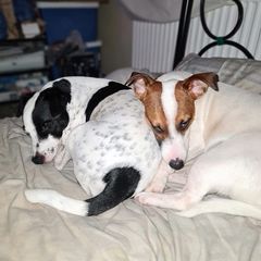 Profile Picture of markpeterrayment (@markpeterrayment) on Tiktok