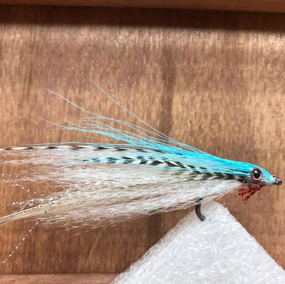 Profile Picture of Antonio Dicristofano (@adicristofano) on Poshmark